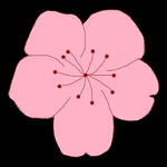 WWW,568se·COM网站APPAPP应用